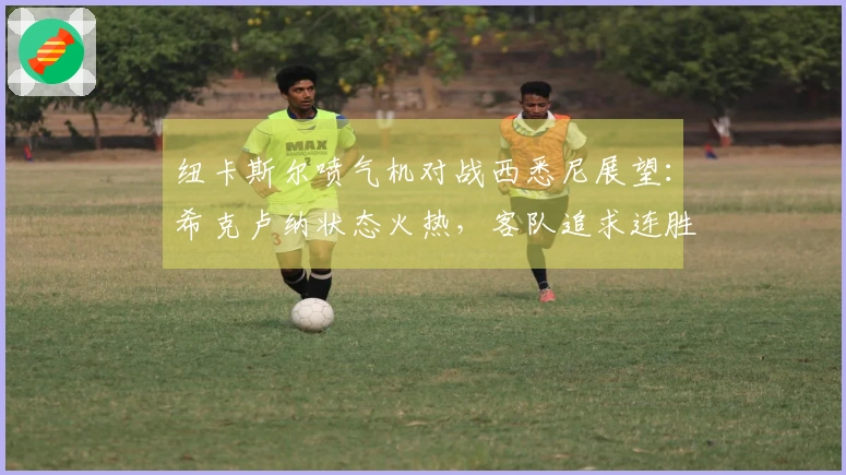 纽卡斯尔喷气机对战西悉尼展望：希克卢纳状态火热，客队追求连胜